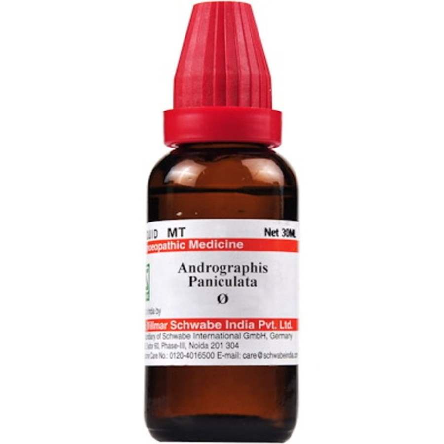 Buy Dr Willmar Schwabe Homeo Andrographis paniculata MT