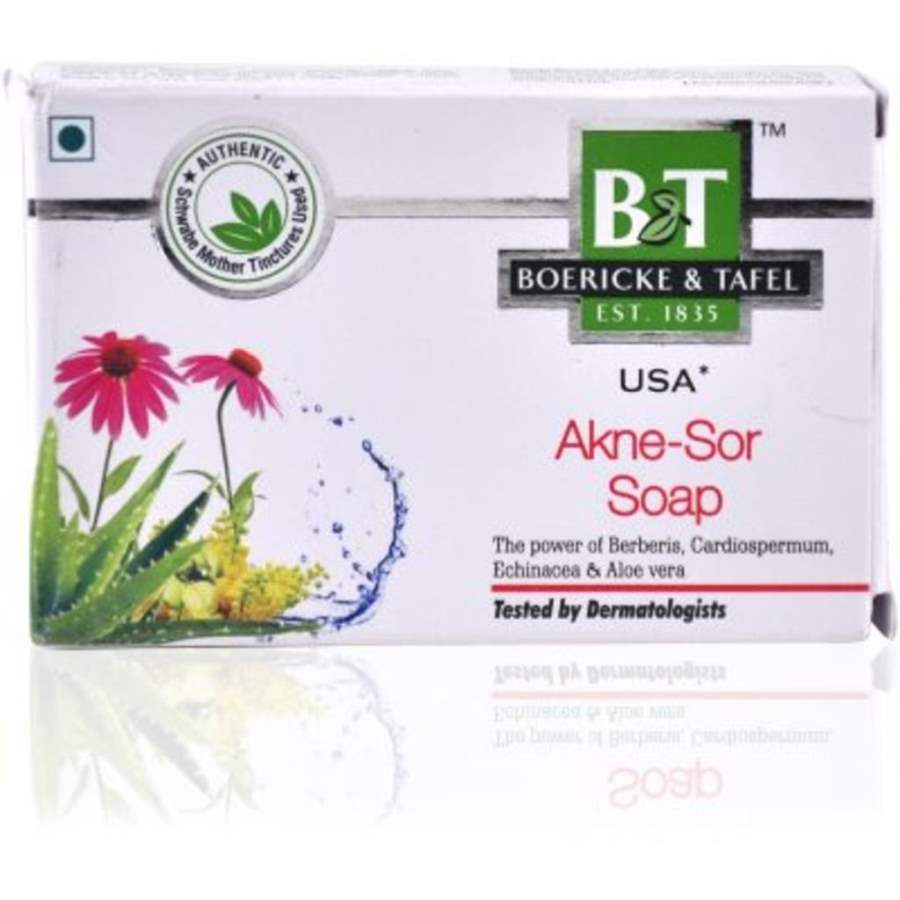 Dr Willmar Schwabe Homeo B & T Akne - Sor Soap